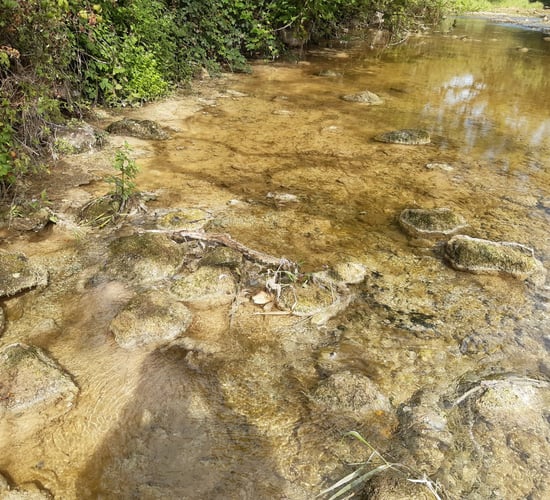 Glanua Group to pay over €5k for damage to River Suir