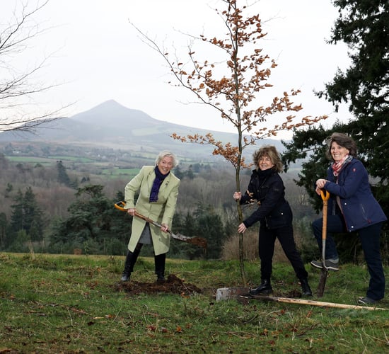 2,500 native Irish trees planted to mark International Women's Day