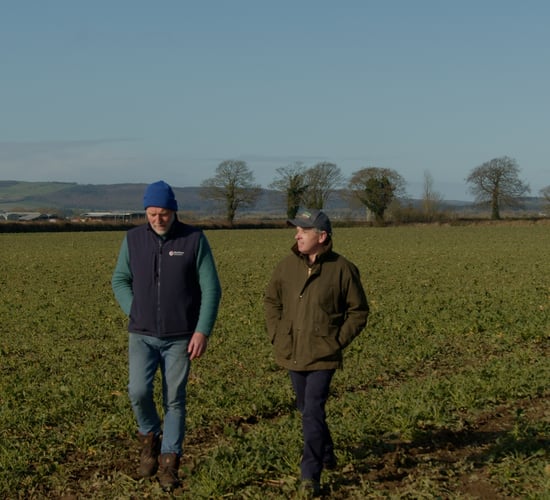 Watch: New IGGG chair urges more financial support for tillage