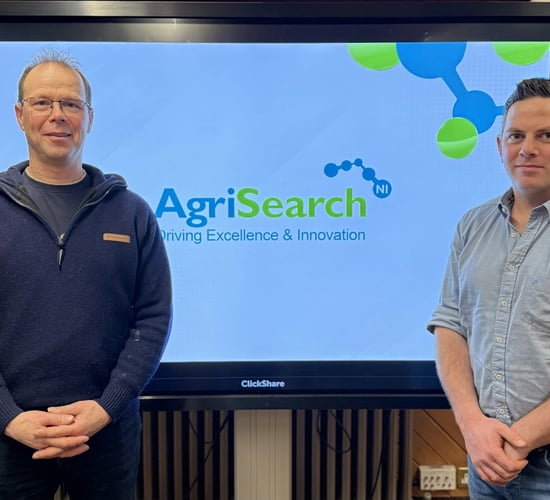 AgriSearch appoints new chair and vice chair for sheep committee