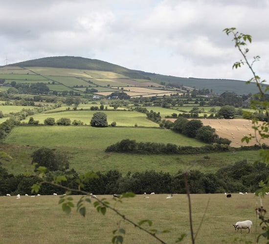 235 farmers yet to receive final ACRES payments for 2023 - DAFM