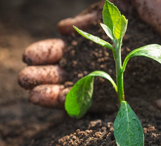 DAERA urges all farms to sign up for Soil Nutrient Health Scheme