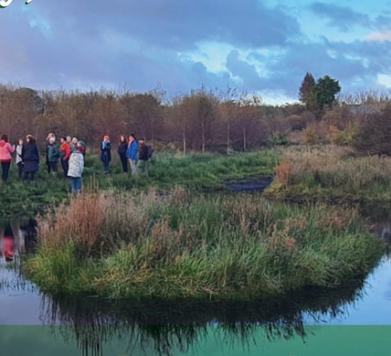 'The Hare’s Corner' facilitates simple, impactful actions for nature