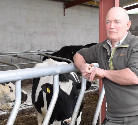 Watch: How a Cavan dairy farmer boosts cattle performance