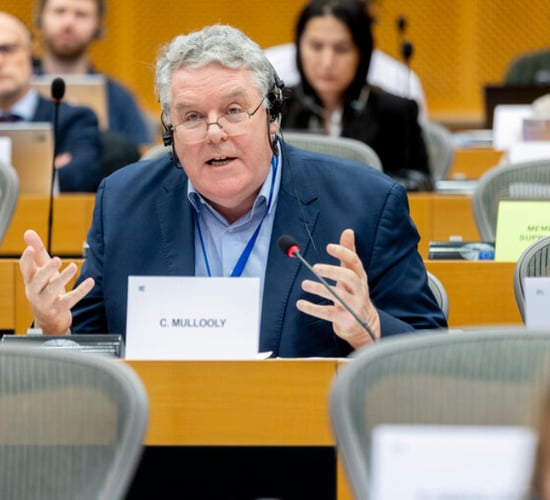 MEP urges against proposed new US animal feed tariffs