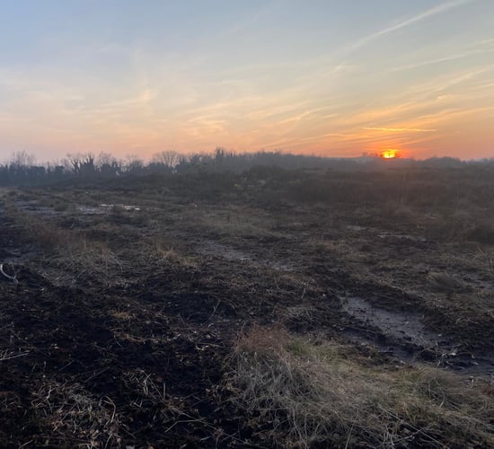 Noonan: Nature restoration plan 'must be inclusive' and ensure rewards