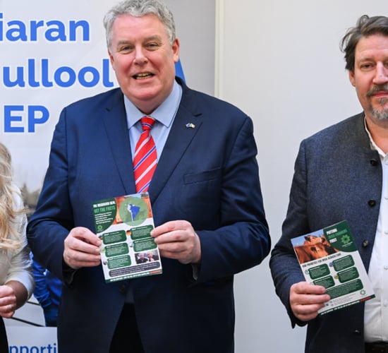 'No to Mercosur' campaign to distribute 20,000 leaflets in Ireland and Europe - MEP