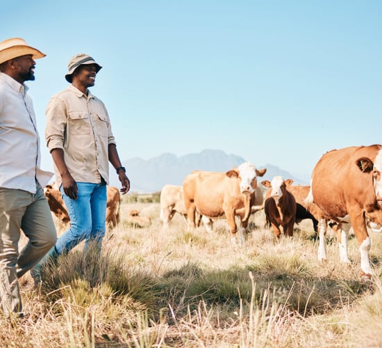 South Africa’s dairy industry 'likely to grow' in the future - report