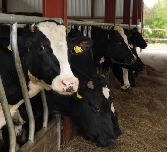 Light carcass weights now 'more of a problem' than heavy - Bord Bia