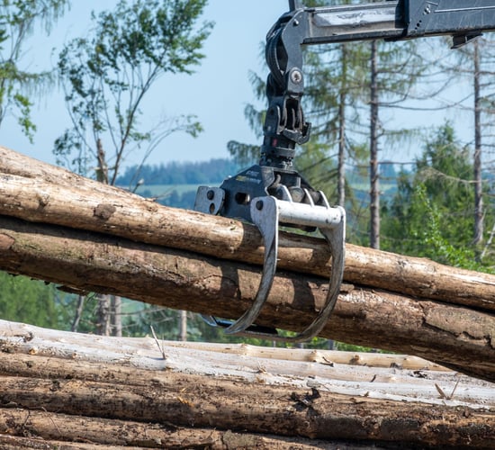 Forestry contractors call for 'fair and transparent' payment system