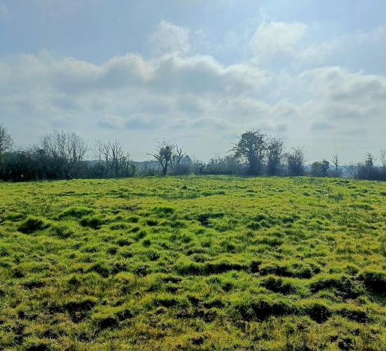 Leitrim farmers showcase ring forts