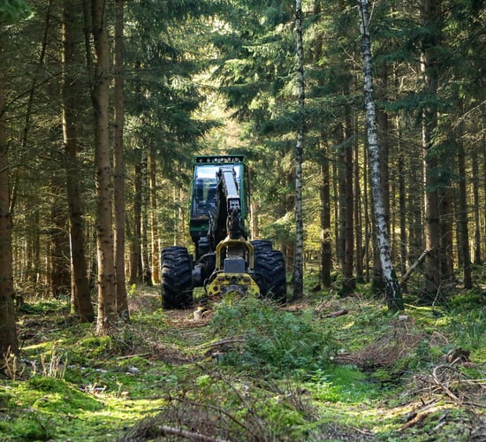 Healy-Rae: 'No timber should leave a forest without a contract'