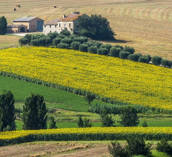 EU approves €90m Italian scheme to reorganise agri supply chains
