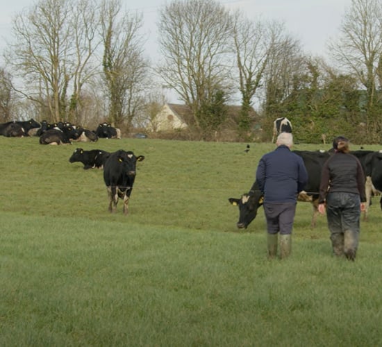 Watch: Increasing milk solids by over 100kg/cow in a few years