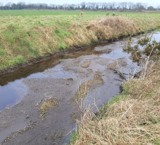 Cheese maker ordered to pay fines for slurry pollution of Co. Tipperary river