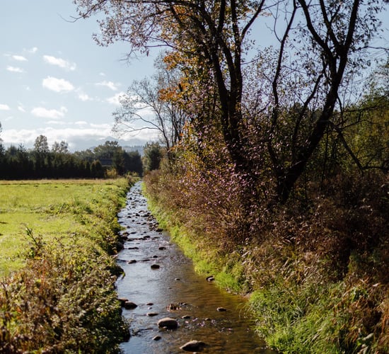 Could an 'emissions trading scheme' approach help improve Irish water quality?