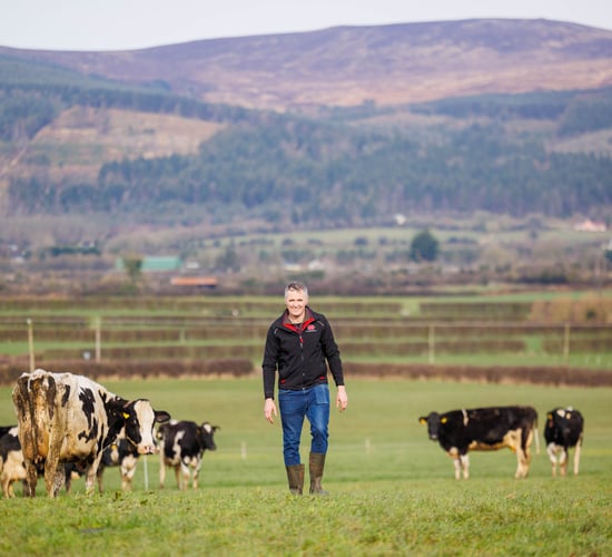 Optimising grazing in Co. Tipperary with a robotic milking system