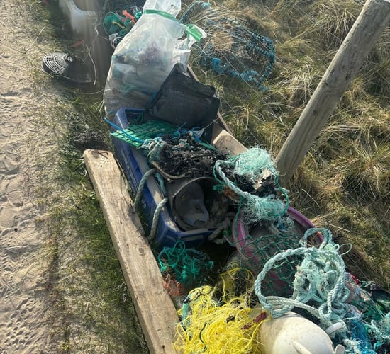 Dead dog found in Donegal clothing bank amid fears for dumping on farms