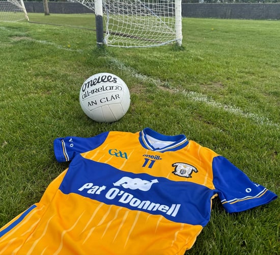 Clare GAA appoints dairy farmer as demographics officer