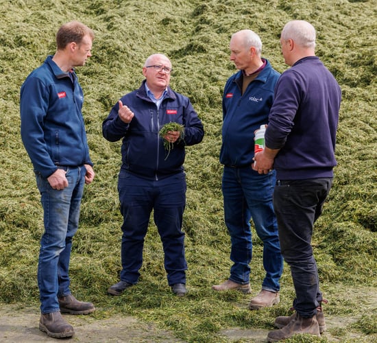 Watch: Delivering quality silage for dairy farming brothers 