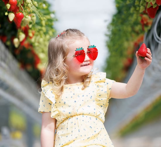 ALDI extends strawberry partnership with Sunglow Nurseries
