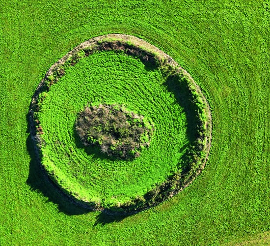 'The stories of those who dare to touch a fairy fort are frightening'