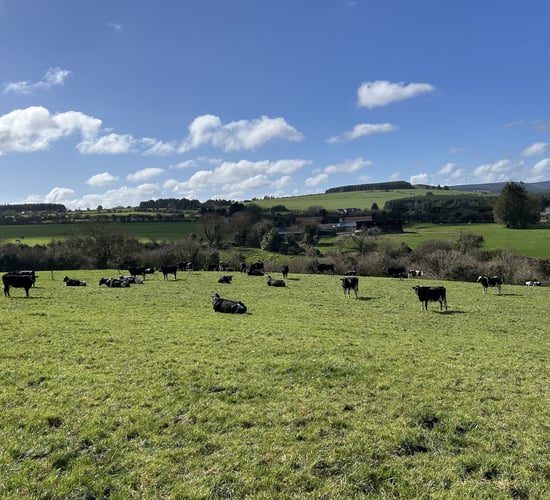 River Blackwater Catchment Series: Nutrient balance driving profit