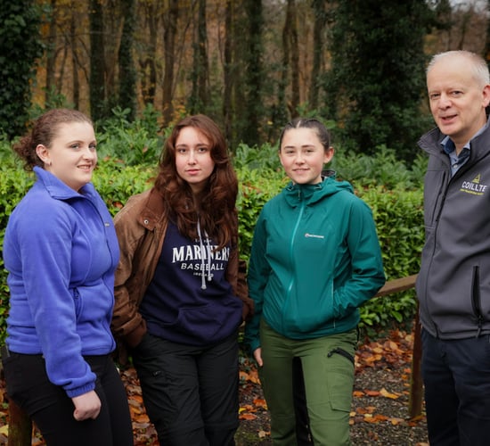 Deadline nears for Coillte 2025 forestry scholarship