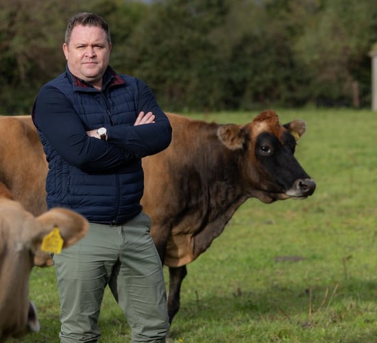 Dairy Industry Ireland: EU-US trade deal 'offers a degree of stability'