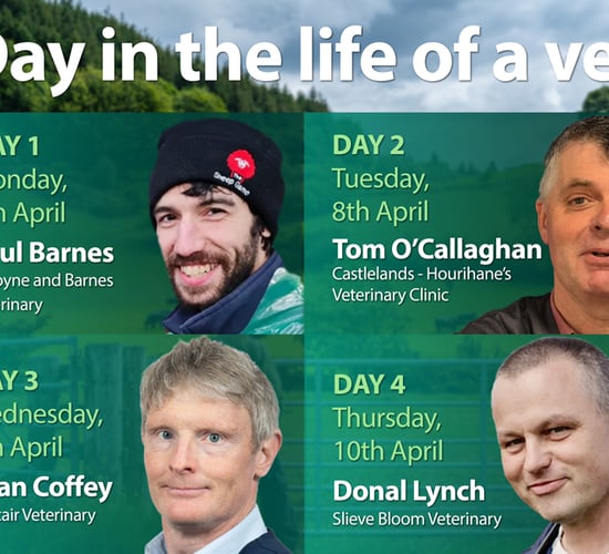 New 'day in the life' series follows vets amid busy farming period