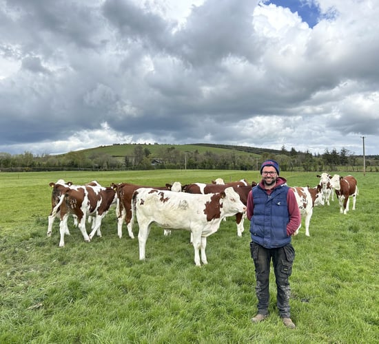 Young new entrant goes against the grain milking Montbeliardes