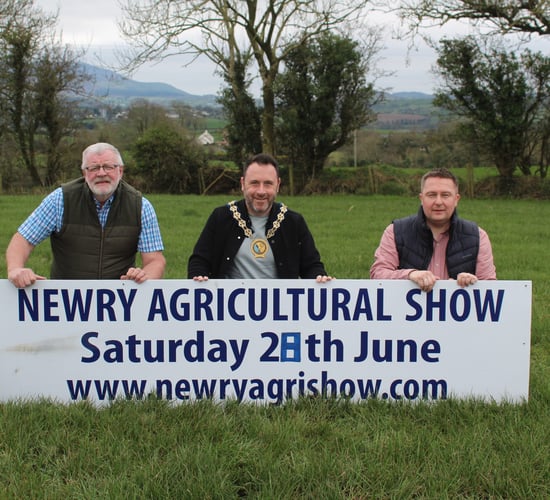 Newry Show gets council boost