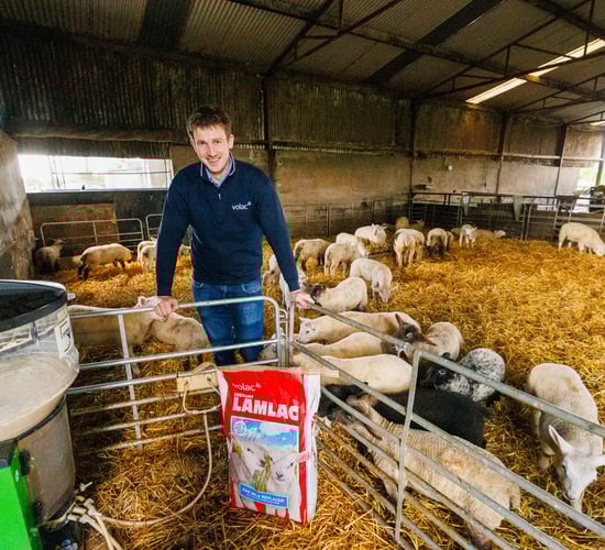 Westmeath farmer achieves decade of success with ewe milk replacer