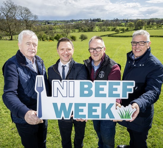 Beef Week 2025 to champion NI produce