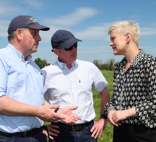 MEP: New animal disease strategy 'needed' as infection rates rise