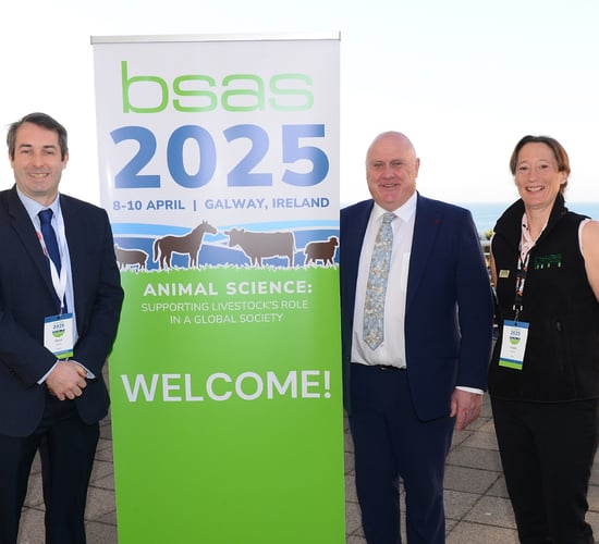 BSAS appoints new president
