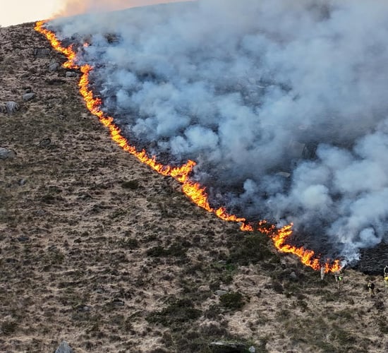 Watch: Over 50 firefighters battling Mourne Mountains blaze
