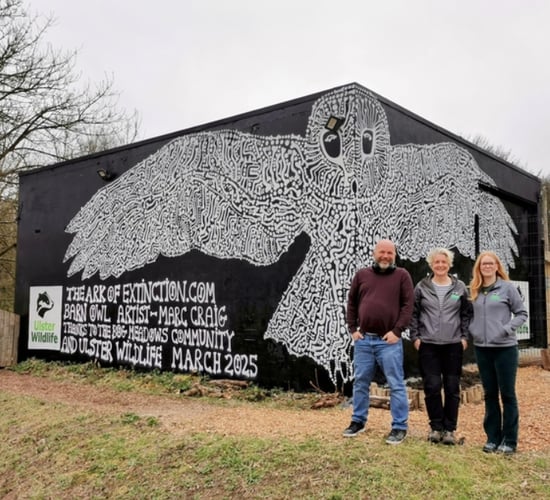 Ulster Wildlife mural aims to raise awareness on barn owls