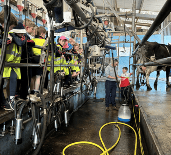 Tipperary dairy farmer hosts primary school pupils on farm visit