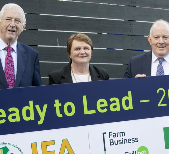 Participants named for IFA 'Ready to Lead 2025' programme