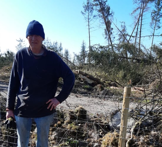 Farmer 'relieved' as fencing repaired by Coillte after much delay