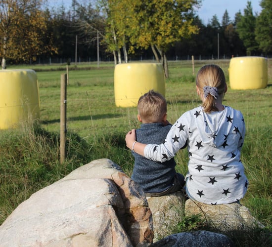 'Wrap It Yellow' this silage season for childhood cancer