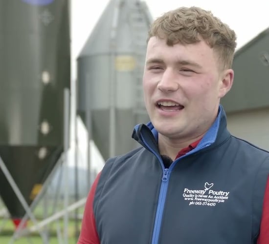 Farmer turns backyard poultry project into growing business