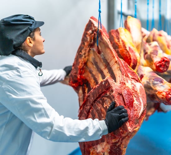 Report: Increase in value of food and live animals exports in February
