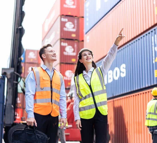 New 'bespoke team' set up to support Irish exporters