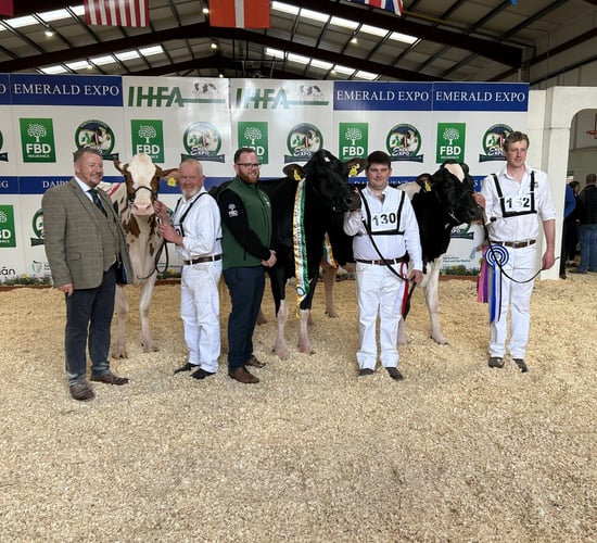The 13th Emerald Expo title goes to Cork breeders