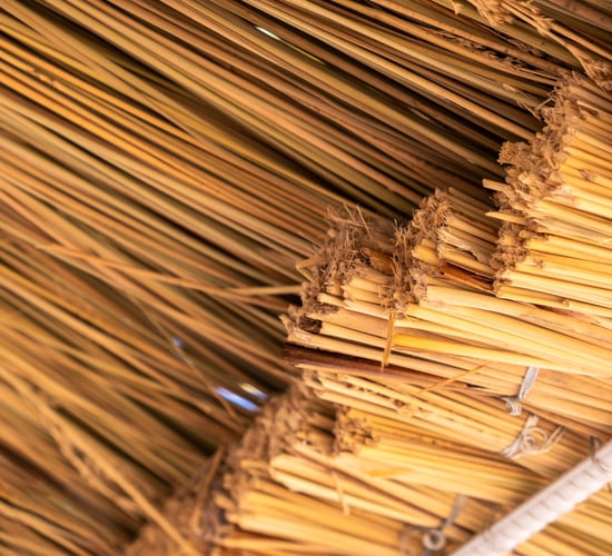 Grants launched to reverse 'loss' of historic thatch in Co. Donegal
