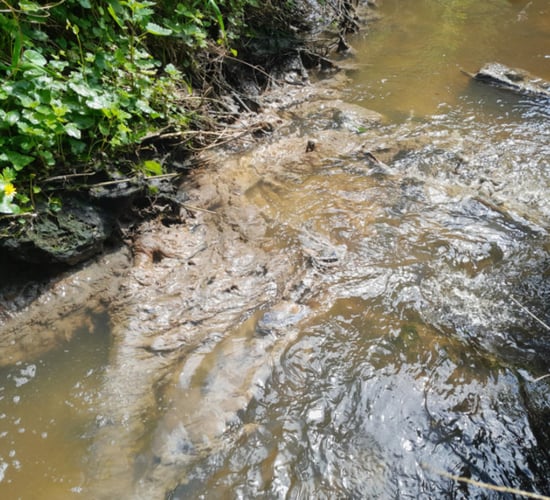 Uisce Éireann fined for sewage pollution incident in Cavan