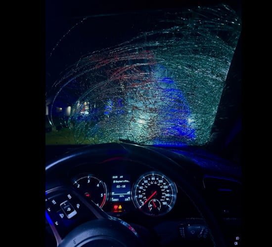 Black cow on unlit road led to 'written off car' - PSNI