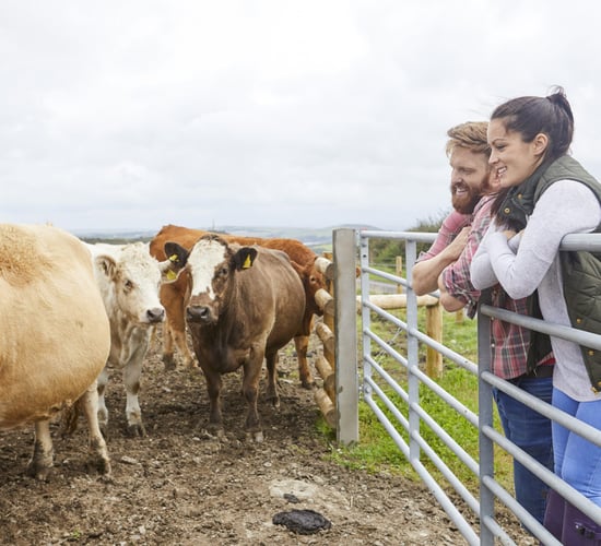 O'Brien: 'We need to make farming more enticing for young people'